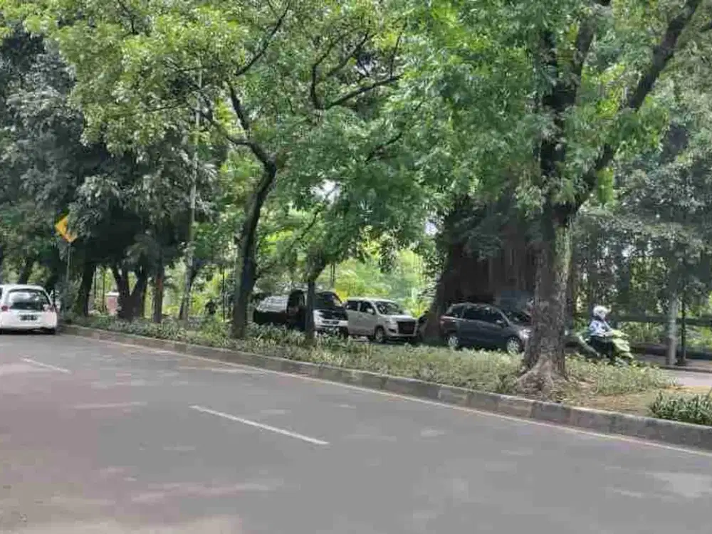 Tanah Komersial di Jalan Raya Utama Pajajaran Bogor