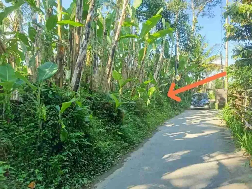 dijual tanah komersil lingkungan villa lokasi tegalalang ubud