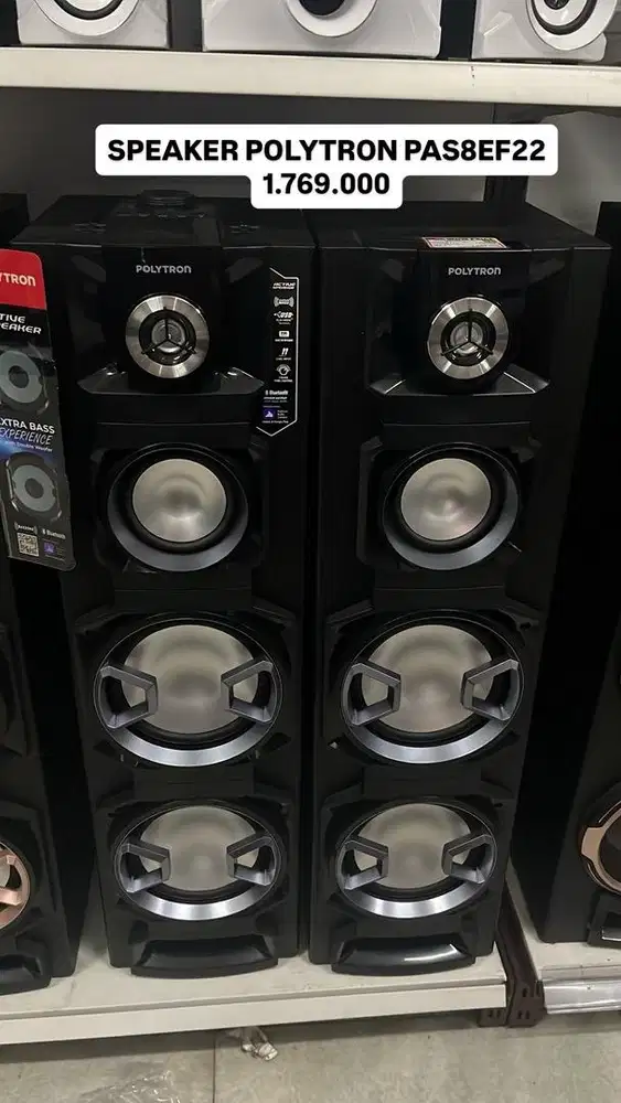 SPEAKER POLYTRON PAS8EF22