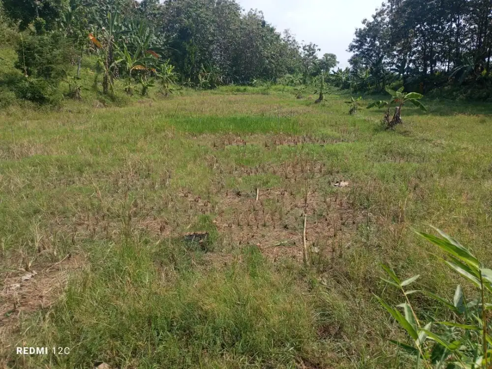 Dijual Tanah Harga Miring Lokasi Strategis Di Ganurit Kawengen Ungaran