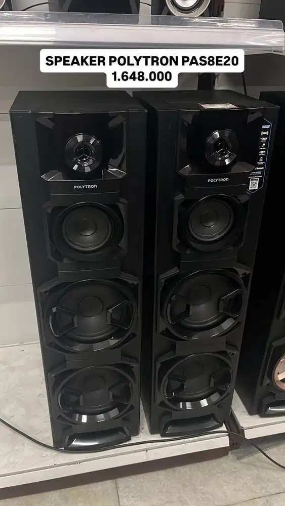 SPEAKER POLYTRON PAS8E20