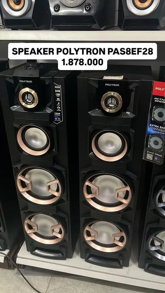 SPEAKER POLYTRON PAS8EF28