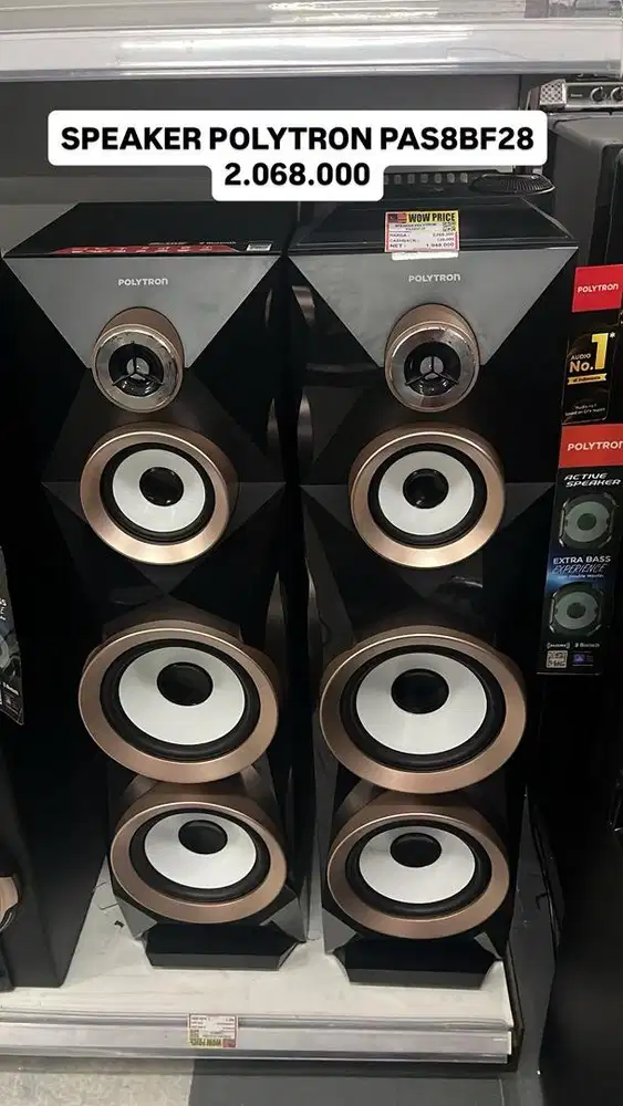 SPEAKER POLYTRON PAS8EBF28