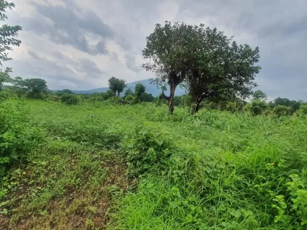 Tanah karang asem, spot diving terbaik di Tulamben, Bali