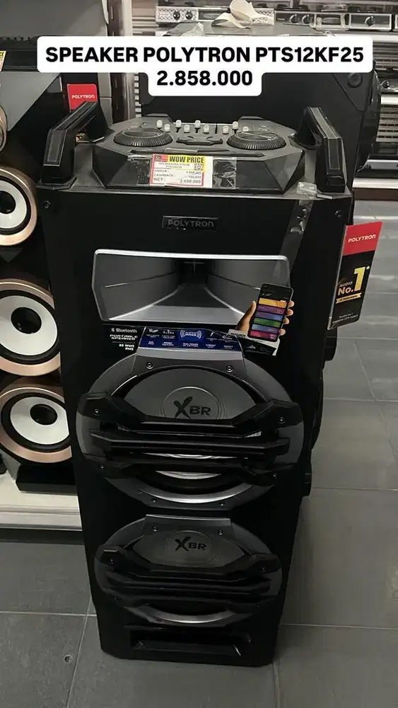 SPEAKER POLYTRON PTS12KF25