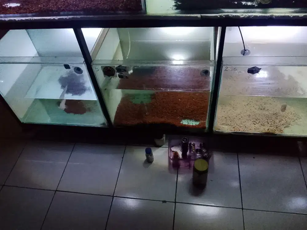 6 set aquarium 50x40x50