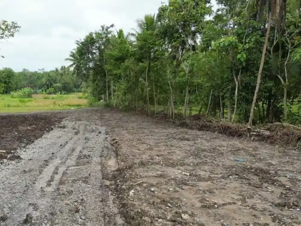 Jual Tanah Sentolo Dekat Pasar Nyonyol Legalitas SHM