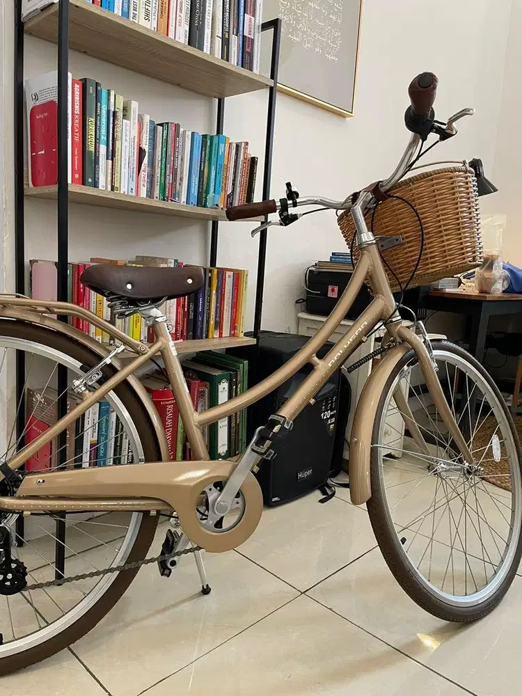 Sepeda Polygon Oosten Baru