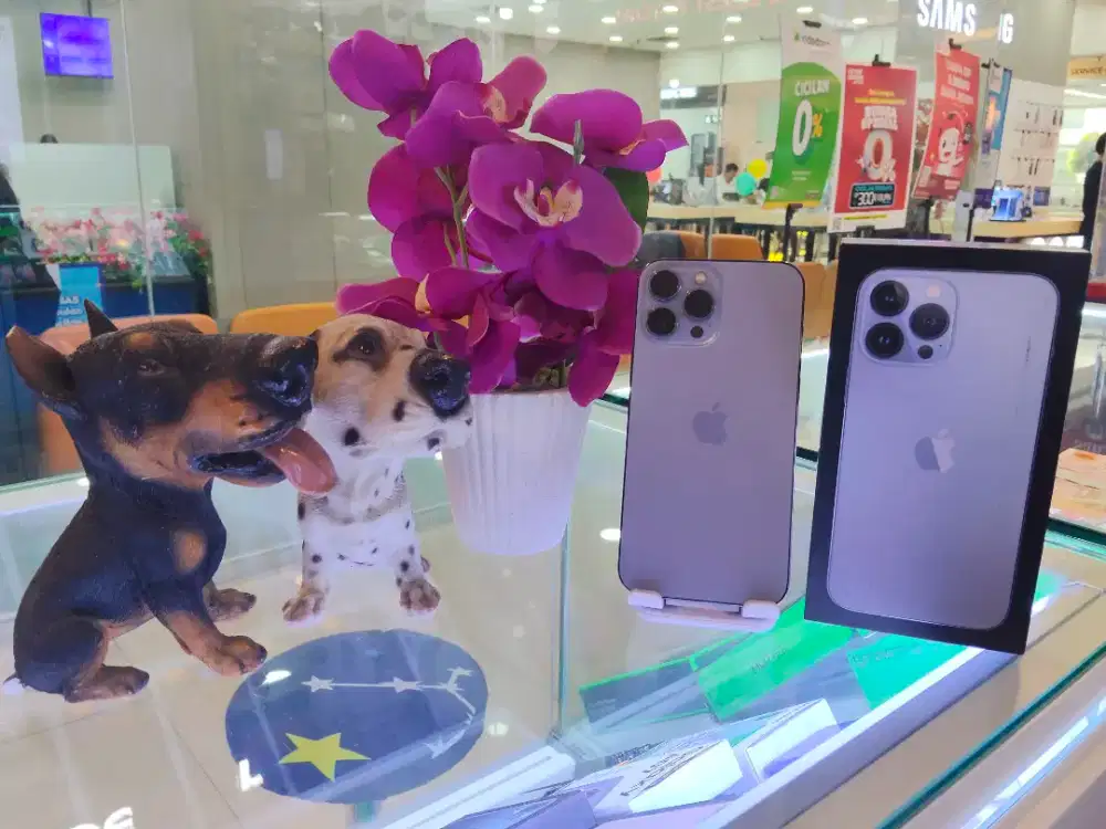 Second iPhone 13 PM  256 INTER