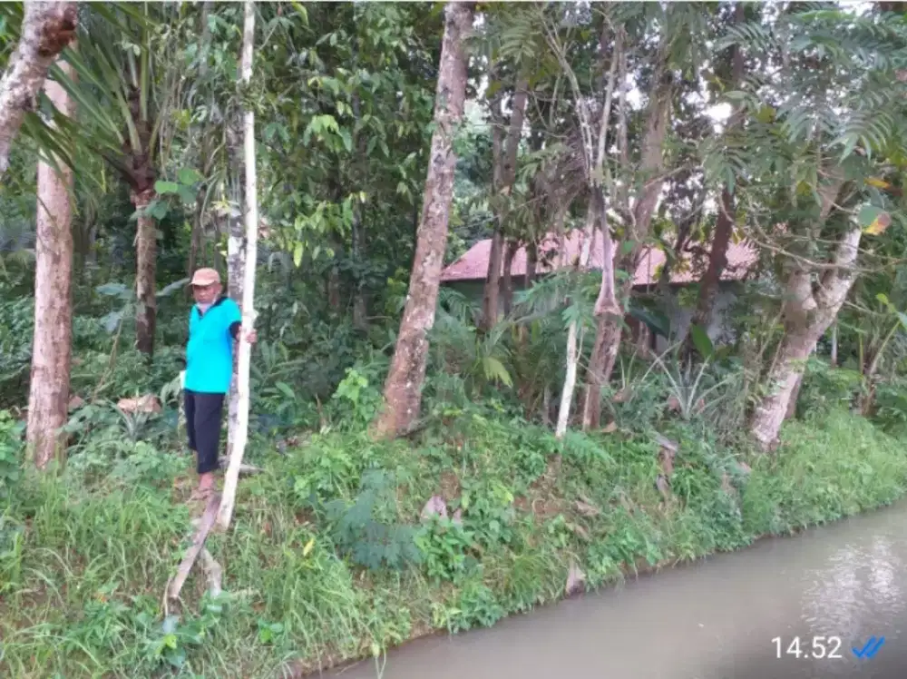 Tanah kebun, depan irigasi dan jalan desa.