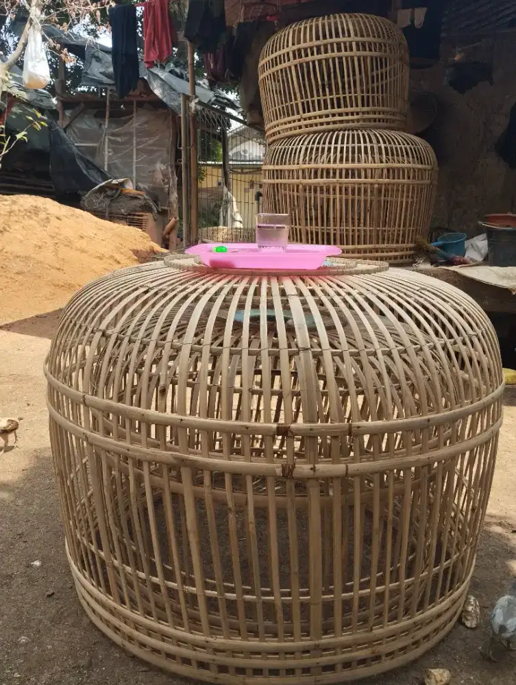 Kurungan ayam bangkokk