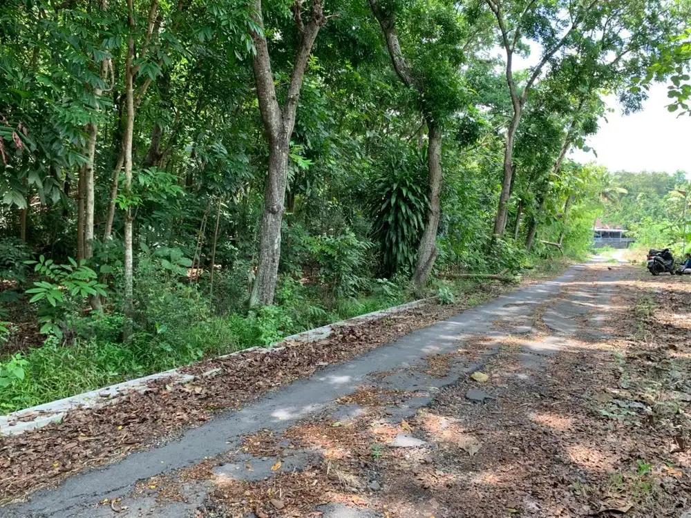 Tanah Kering/Pekarangan Dengan Lebar Muka 29m Hadap Jalan Lebar 6,5m