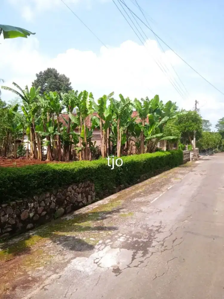 Jual tanah lokasi Jumantono luas 1967mtr harga 500jt nego