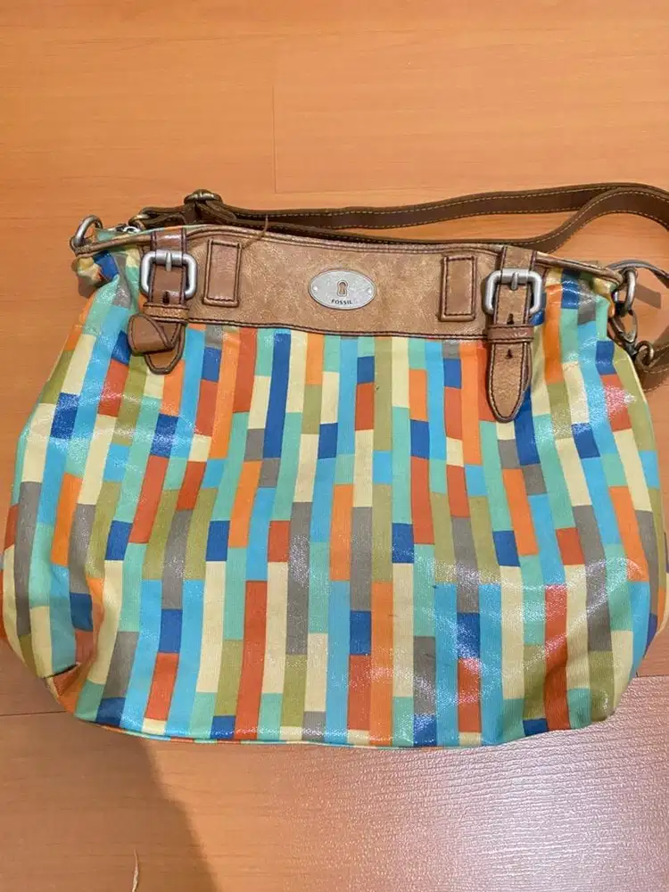 tas fossil rainbow