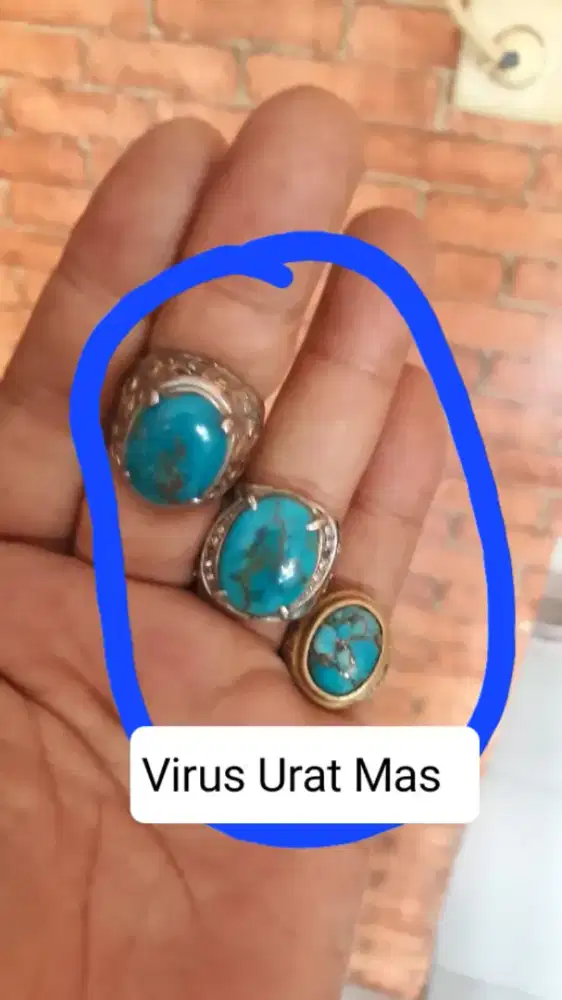 Batu Cin2 Virus Mira Delima