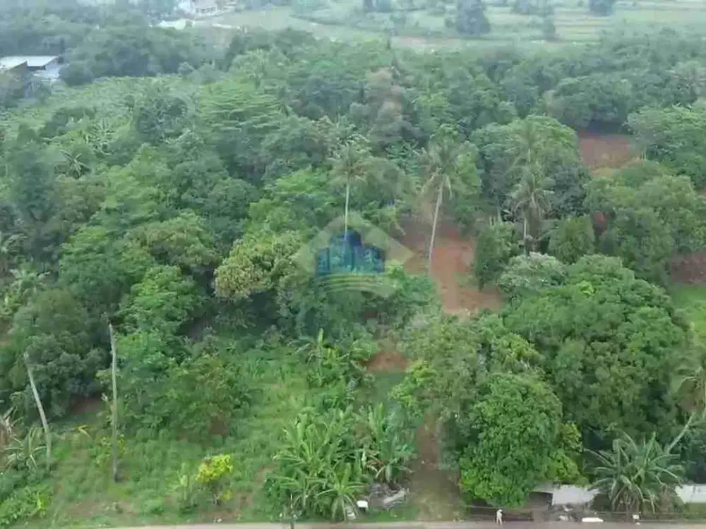 Dijual Tanah Strategis di Cisauk, Tangerang - Banten. Dekat dengan BSD dan Stasiun Jatake