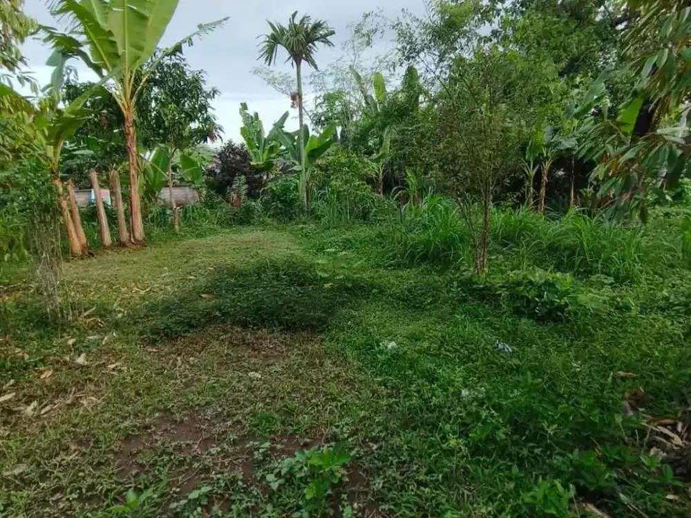 Di Jual Tanah Sukawati kontur tanah datar dekat ubud cocok untuk villa