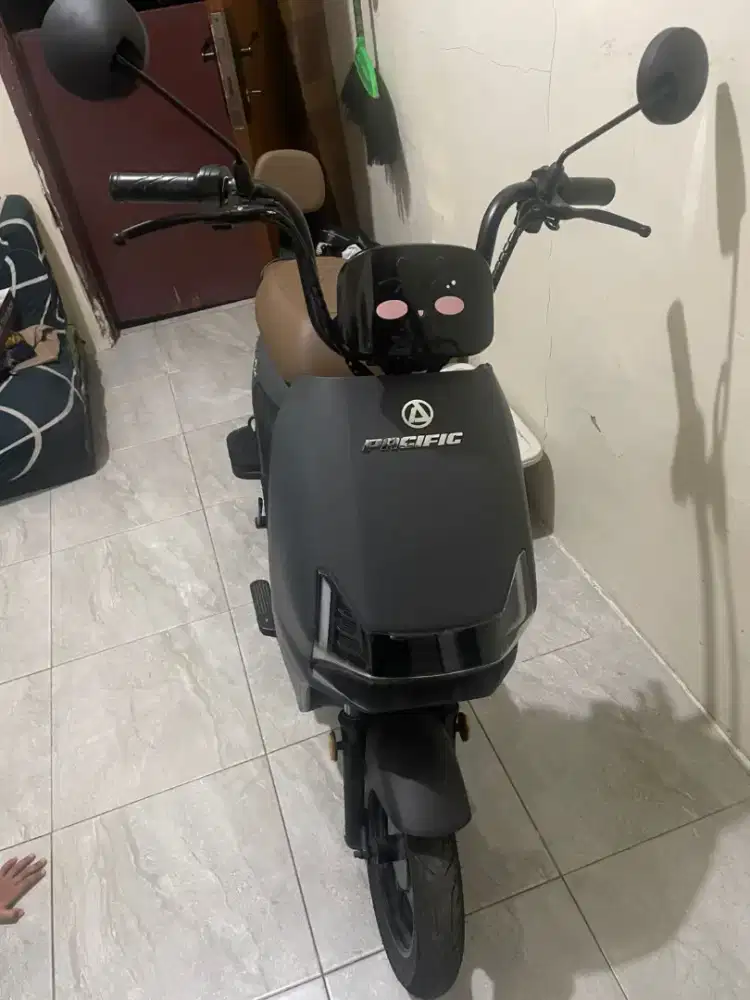 Sepeda listrik Pacifik Zeckrom 300