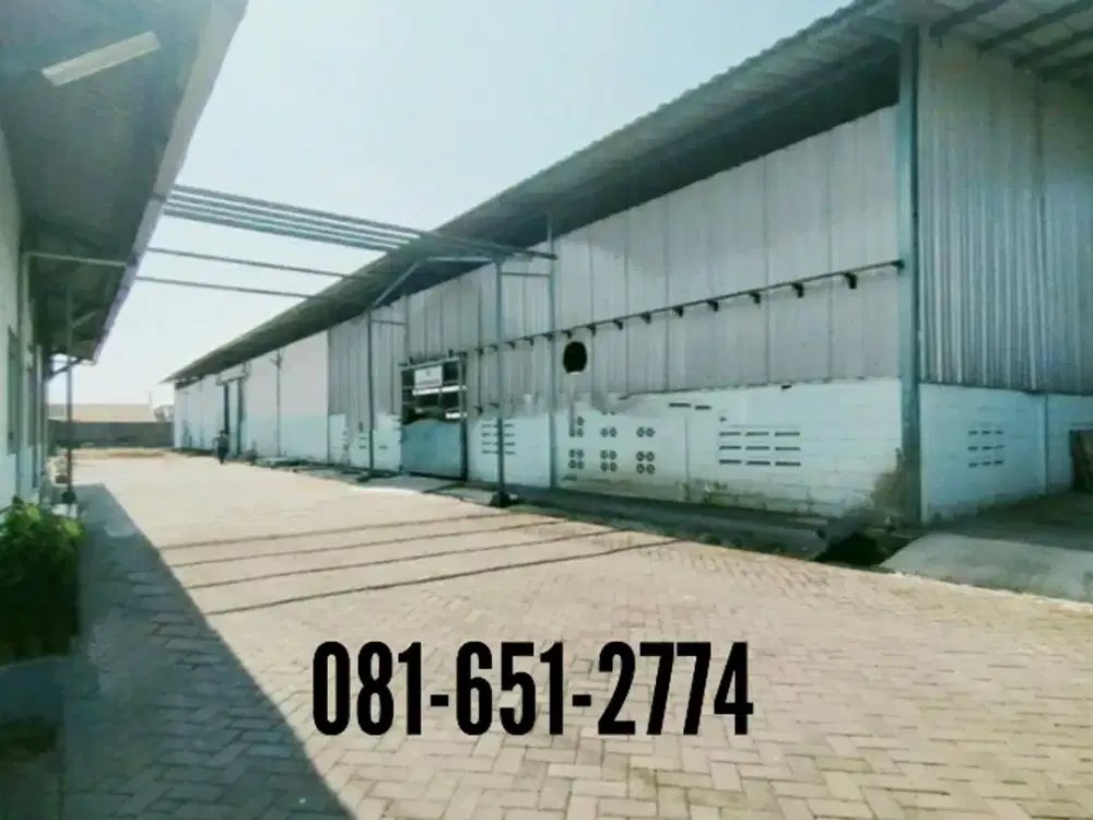 Pabrik Gudang di Purwosari