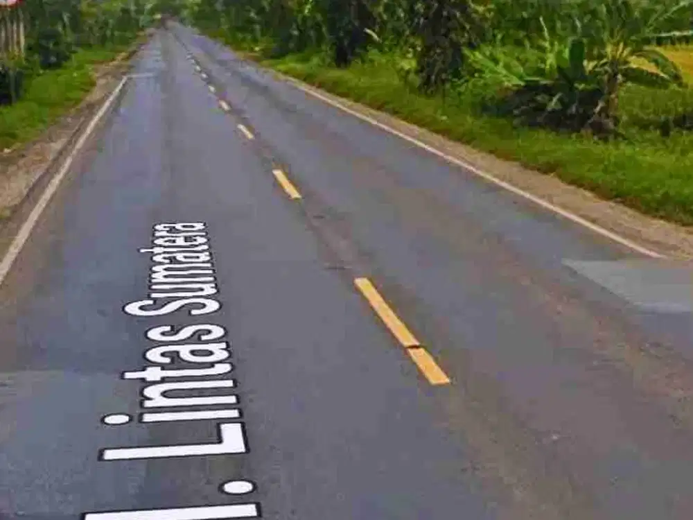 Jual Tanah Pinggir Jalan Raya Lintas Sumatera terdekat Stasiun Tegineneng Lampung Selatan