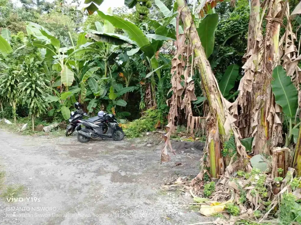 TANAH MURAH MERIAH STRATEGIS DEKAT RINGROAD SELATAN SEWON BANTUL YOGYA