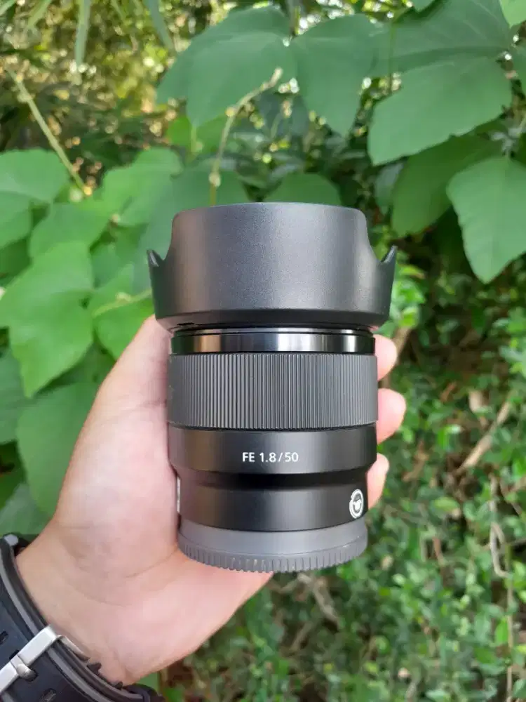 Lensa sony fe 50 mm f1.8 muluss
