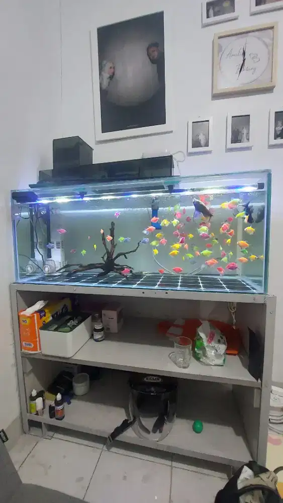 Aquarium Fullset + Segala Macam Isinya Tinggal Pajang