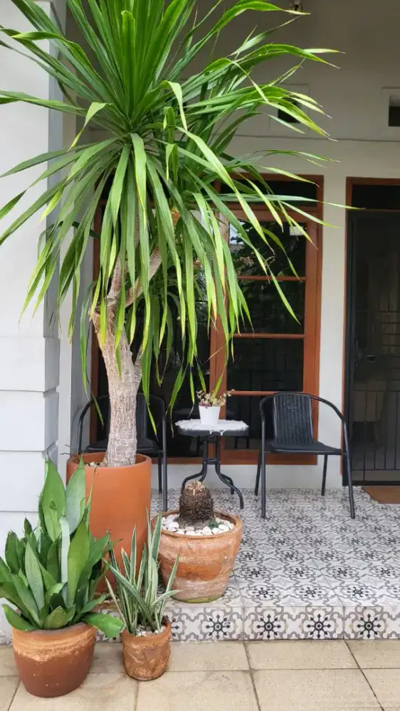 Rumah bagus taman kopo indah 3