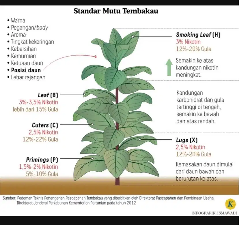 Dicari sales motoris