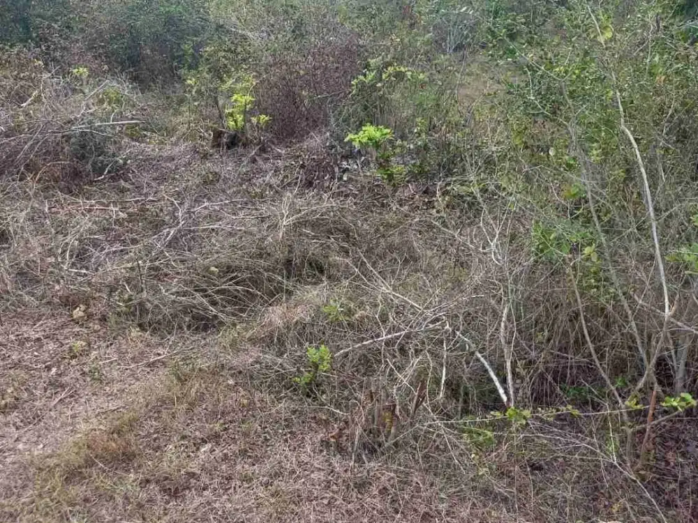 dijual tanah ocean view kawasan gedong sari nusa Dua Badung Bali