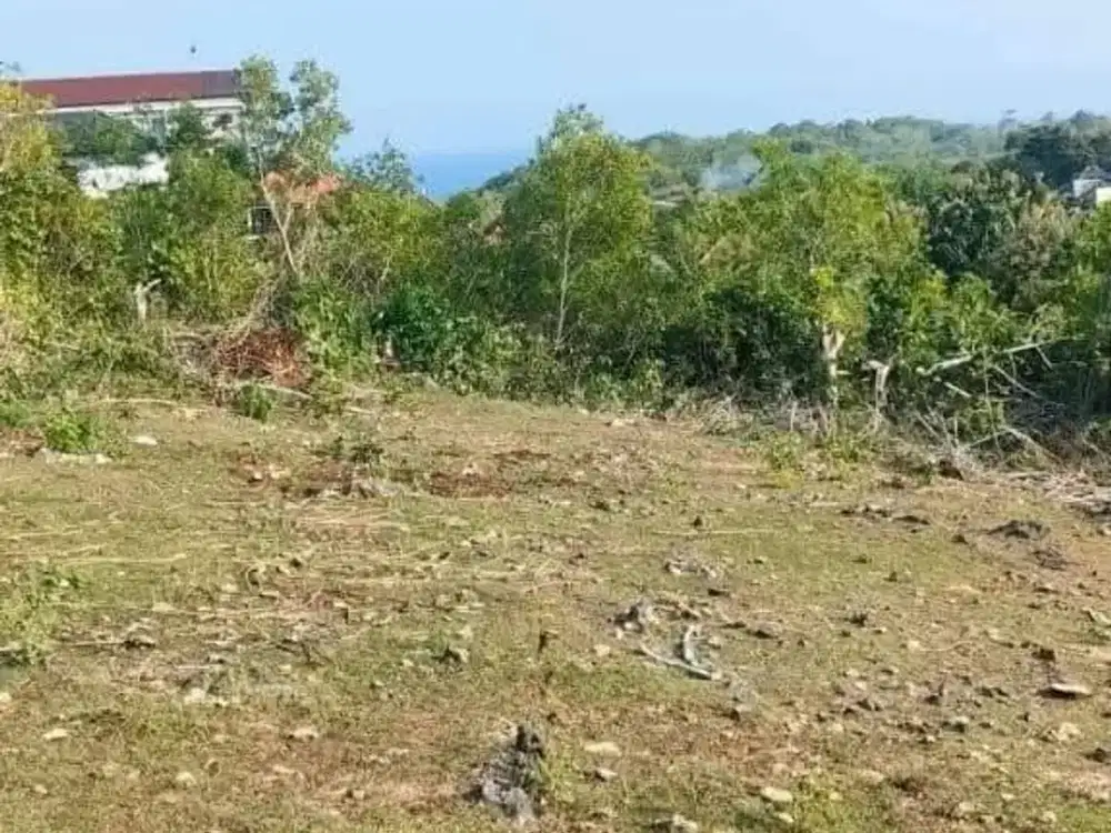 Tanah ocean view kawasan pantai green bowl Ungasan badung bali
