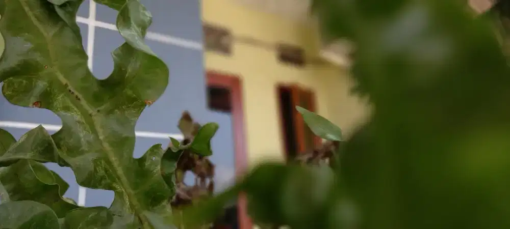 Bismillah Rumah hook Karawang gak jauh dari RS Lira Medika