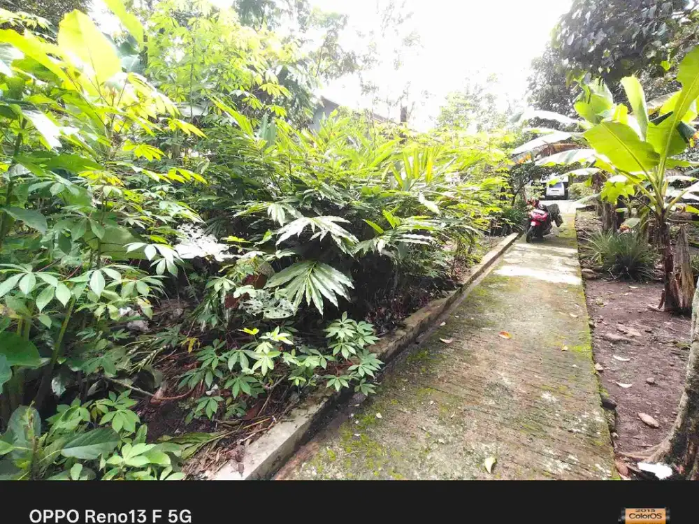 Tanah kosong kebun dekat pasar Karanganyar Purbalingga