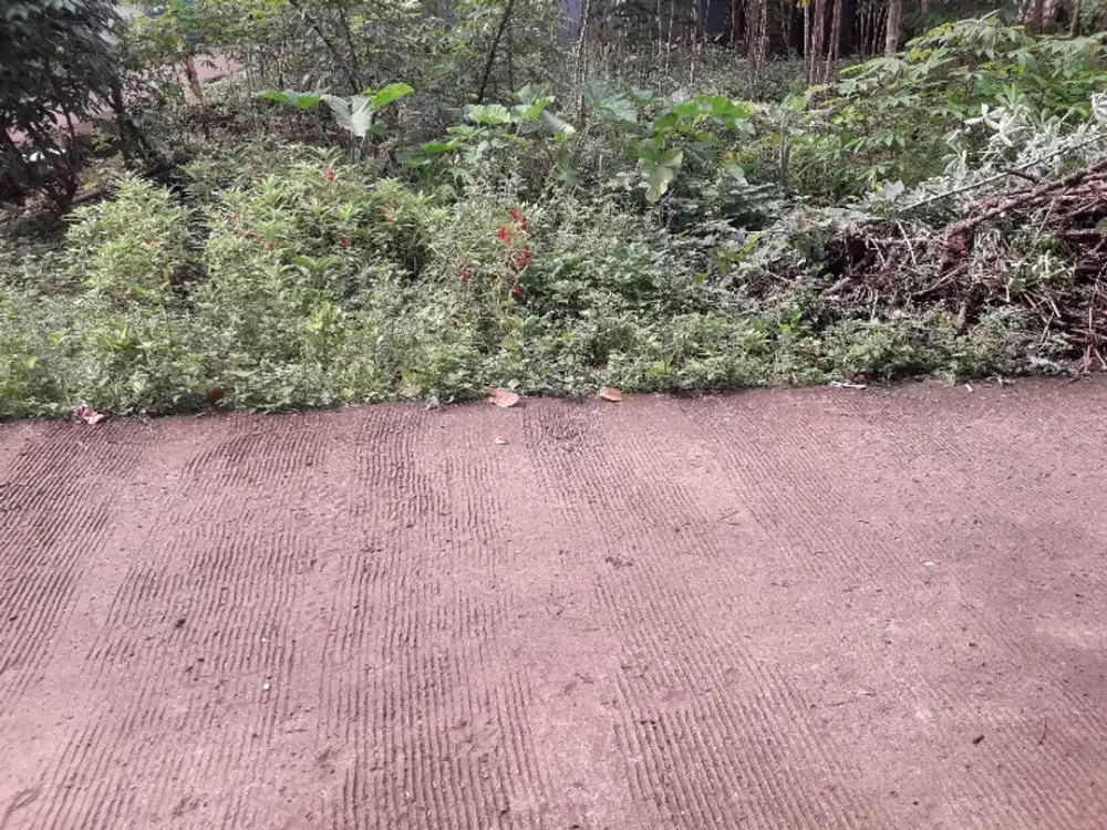 JUAL TANAH  CANTIK BUAT RUMAH  TINGGAL GN SINDUR