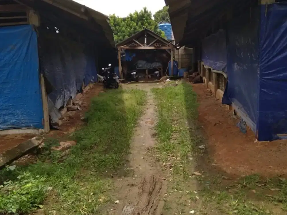 JUAL  TANAH  DAN  KANDANG  STRATEGIS GN SINDUR