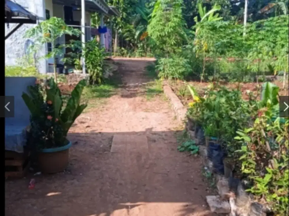 TANAH BUAT BRUMAH  TINGGAL GNSINDUR