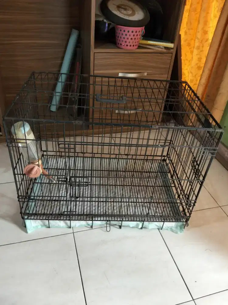 Kandang anjing & kucing