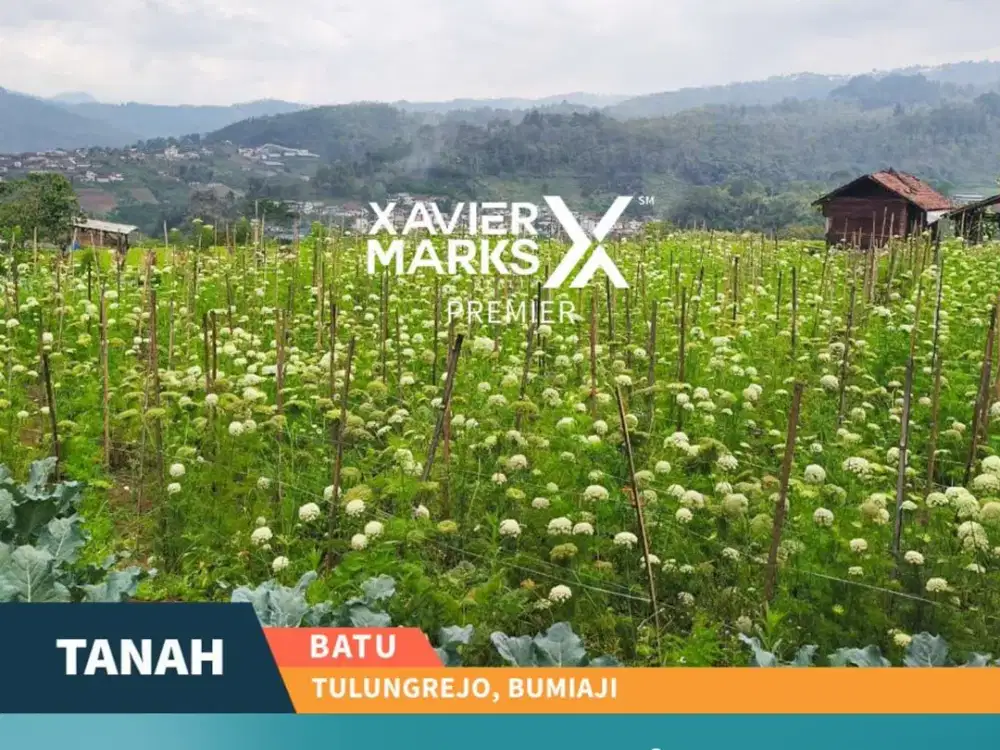 Jarang Ada Dijual Tanah Tepi Jalan Raya Tulungrejo, Bumiaji Kota Batu