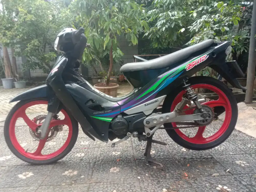 Kawasaki Blitz Racing