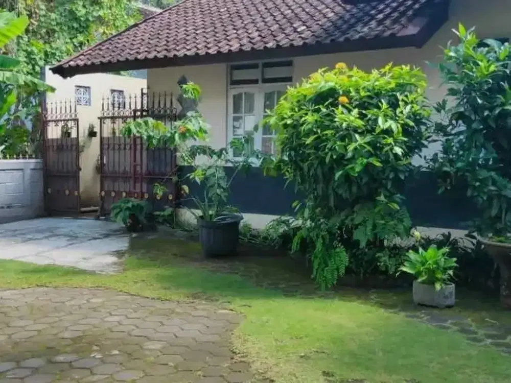 Tanah Luas Bonus Rumah Asri di Sukoharjo dekat Ma'had AL-Anshar putri