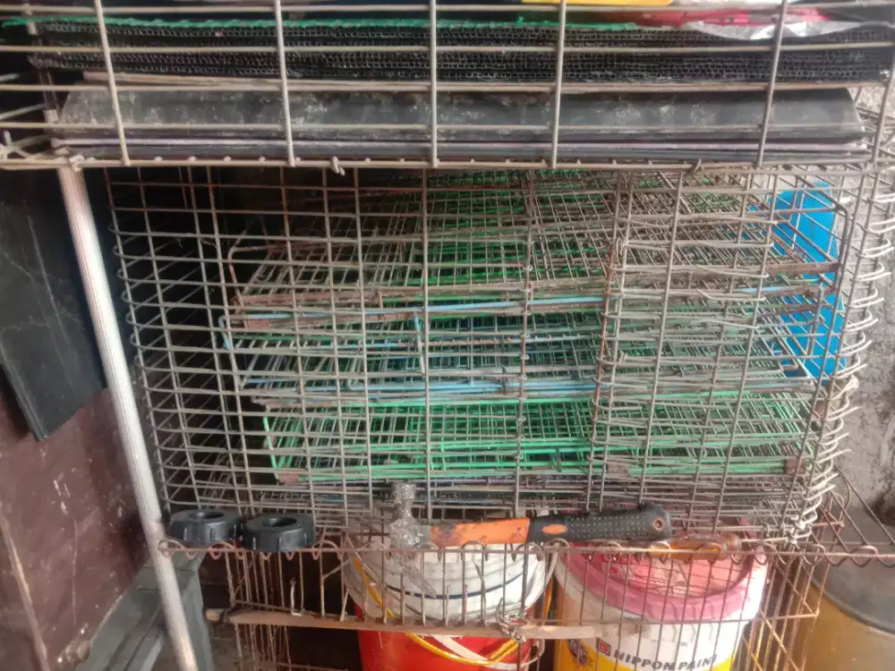 Mesin tetas dan kandang ayam kampung