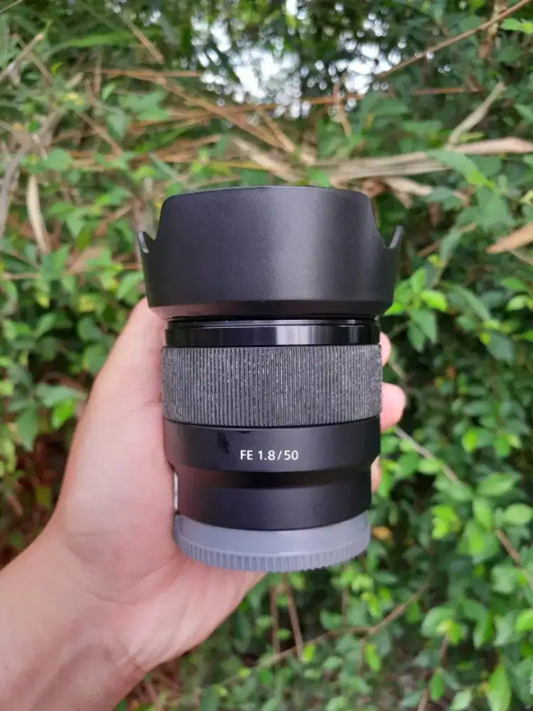 LENSA SONY FE 50 MM F1.8