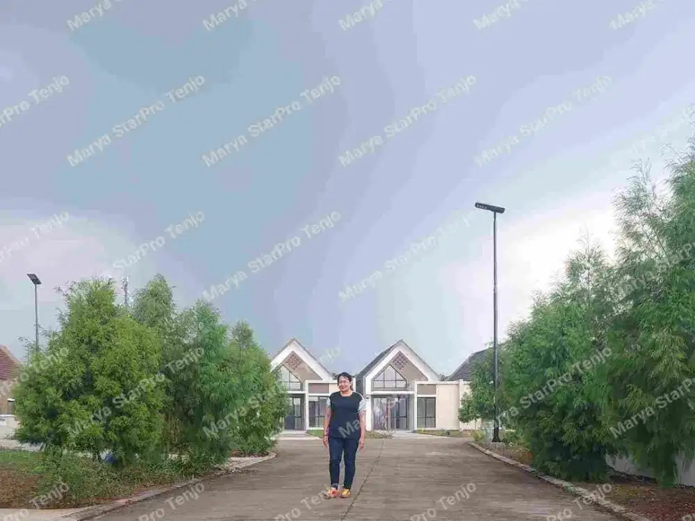 Cluster citrus , premium cluster