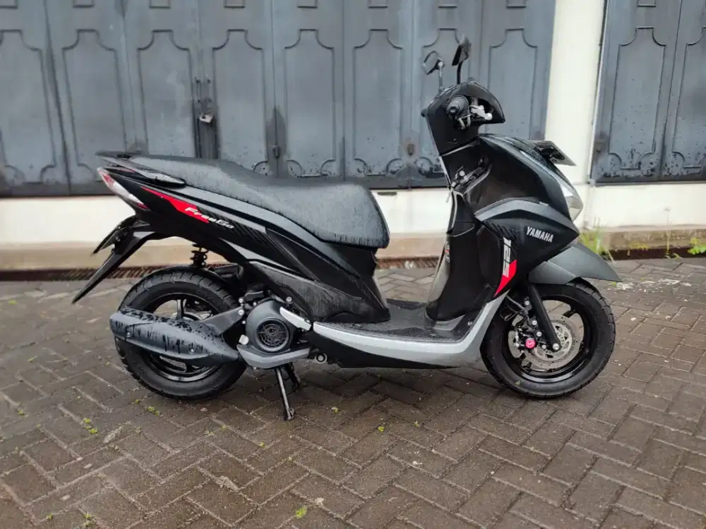 Freego 2024 Pajak Panjang