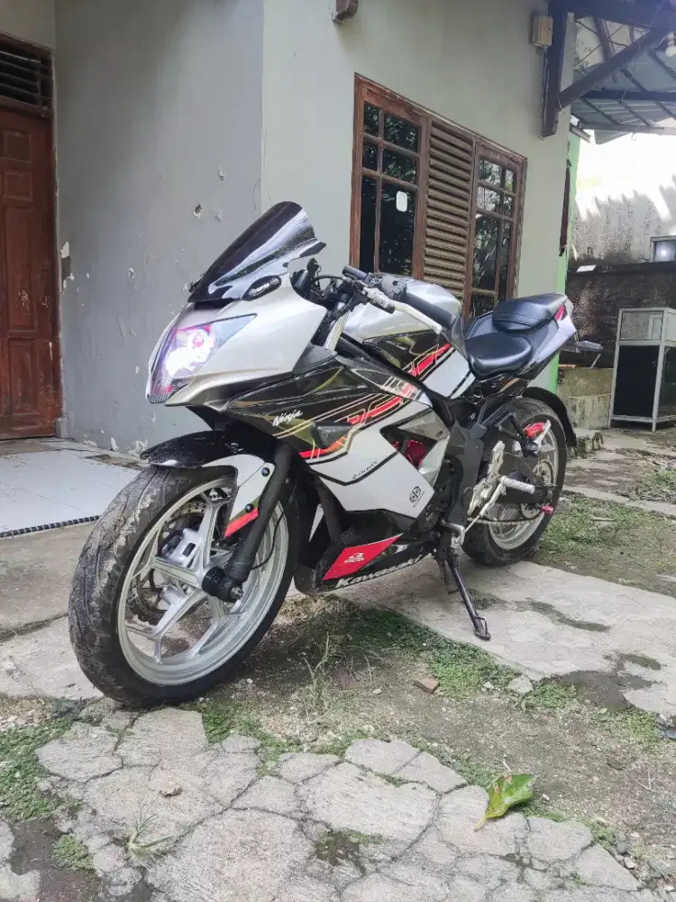 Kawasaki Ninja 250SL 2018 Mono