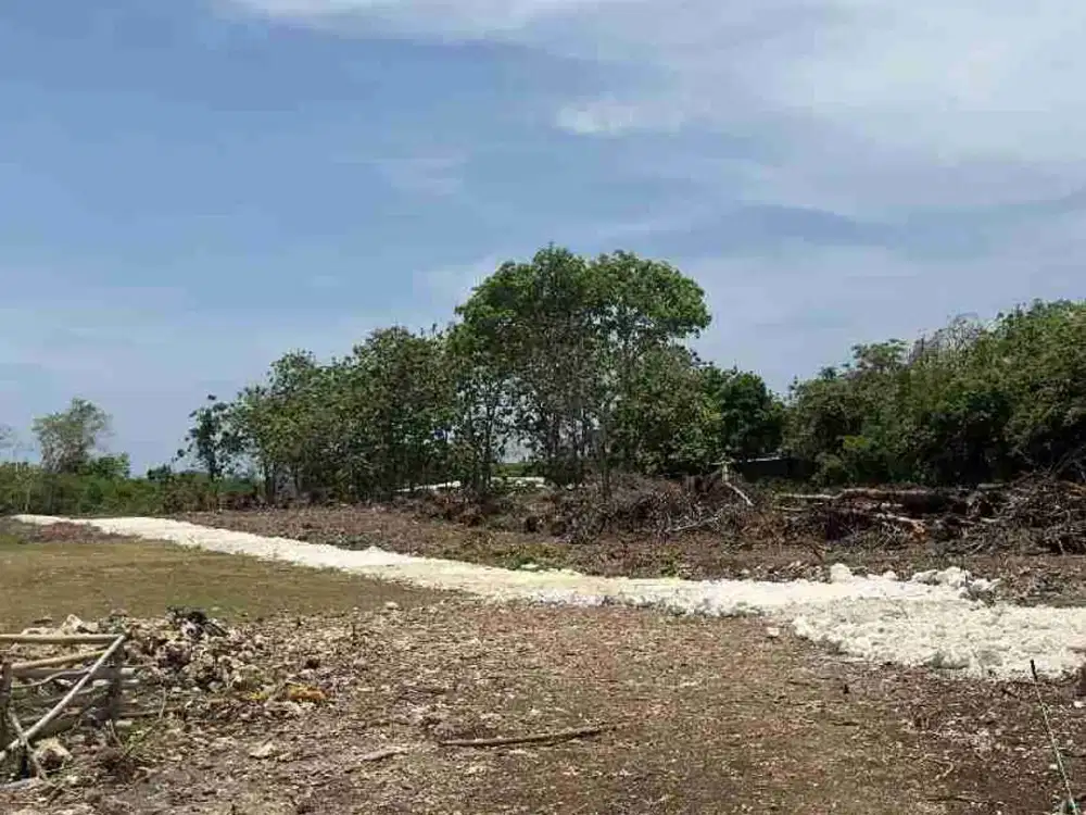 Jual Tanah Kavling Zona Kuning Luas 1are/100m² Lokasi Taman Giri Jimbaran area Investasi