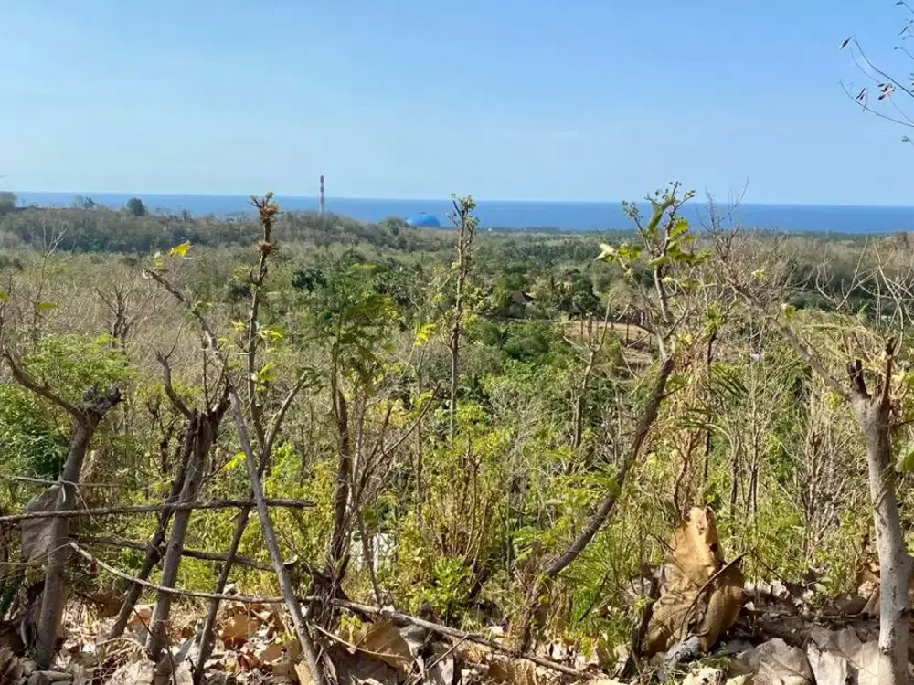 Disewakan Leasehold Tanah 225 Are Gerokgak Buleleng Singaraja Bali