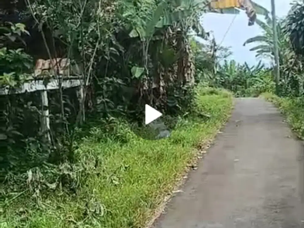 Tanah parung kuda sukabumi jawa barat