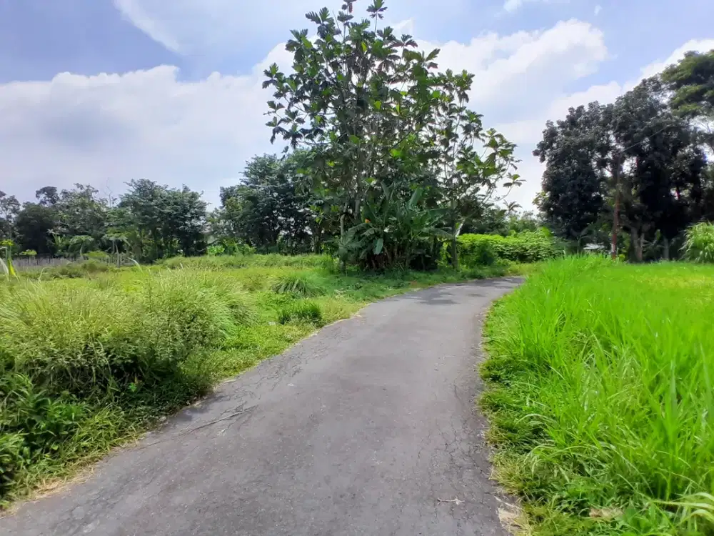 Jalan Palagan, Tanah Sleman Jogja, dekat UGM