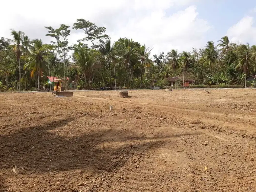 Moyudan, Tanah Sleman Jogja, dekat Balai Desa Moyudan